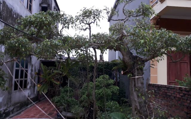 TamCoc Green field Hostel