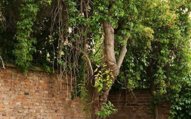 Raja Jooseppis Green View
