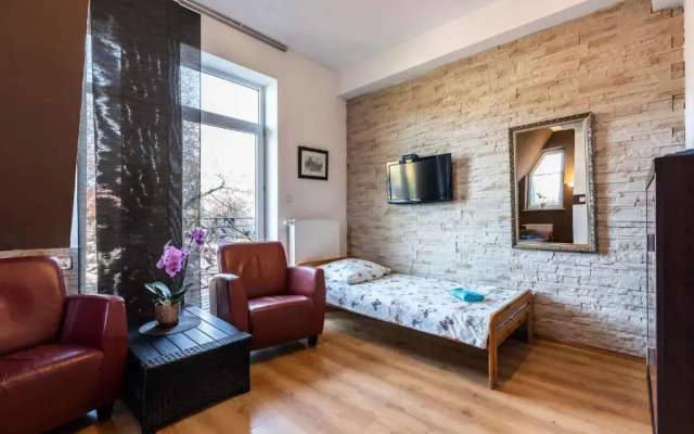 Brzoza w centrum Zakopanego