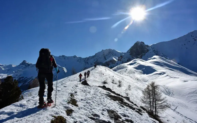 Le Chamois