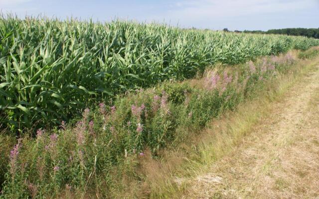 Onder De Eiken Diever