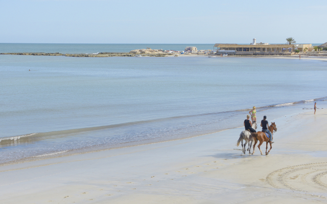 Monarque Dar Jerba Narjess