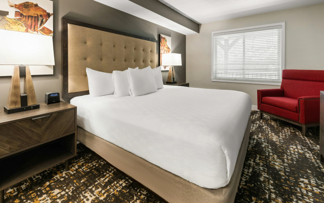 WorldMark Arrow Point