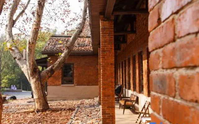Xingshan Wonderland · In the Forest