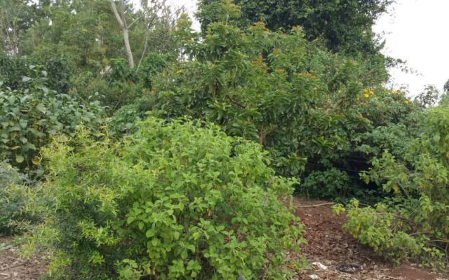 Nakoosi Eco Lodge & Backpackers