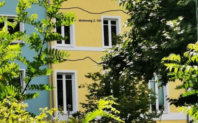 Rheinufer am Hindenburgpark