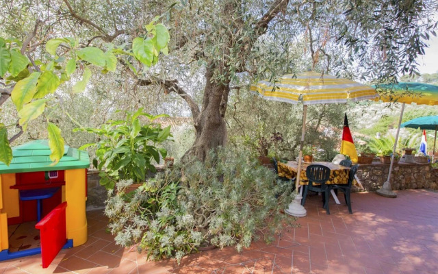 Alice Massarosa in Massarosa