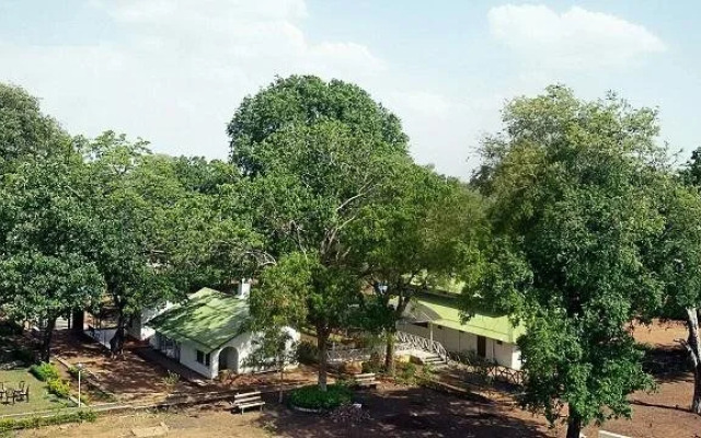 Woodland Adventure Resort