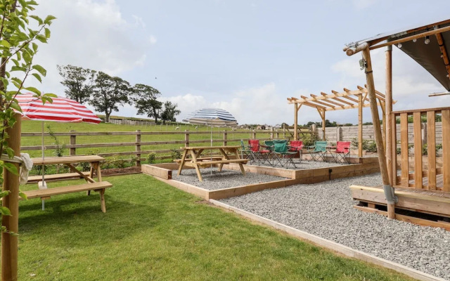 Lucky Clucky Lodge