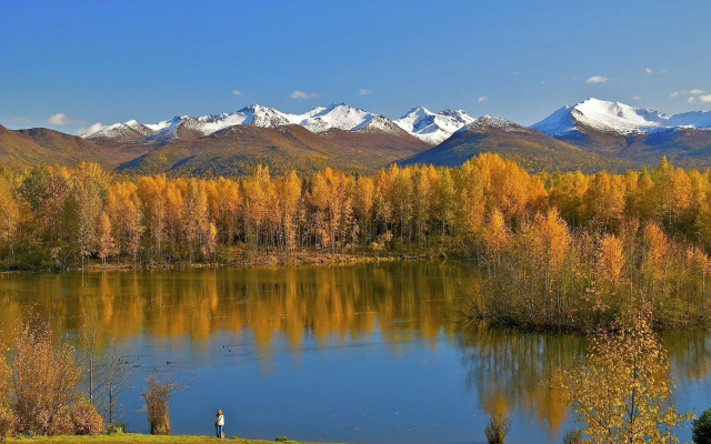 SpringHill Suites Anchorage University Lake