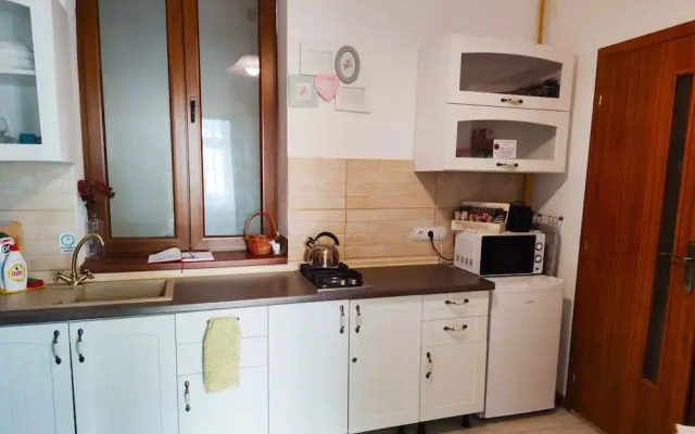 Buon Studio Sibiu, near train station and Small Square Old Town