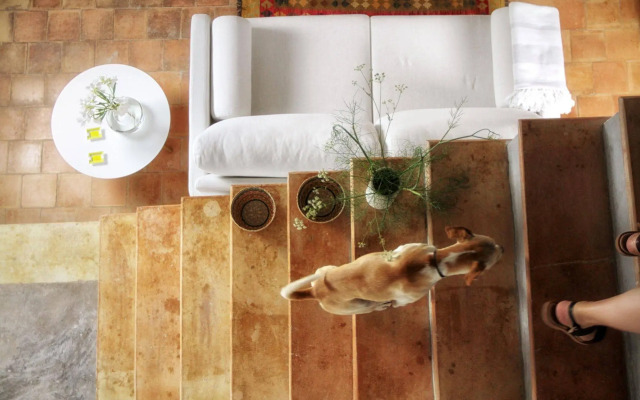 Bou Ros Finca Son Orellet