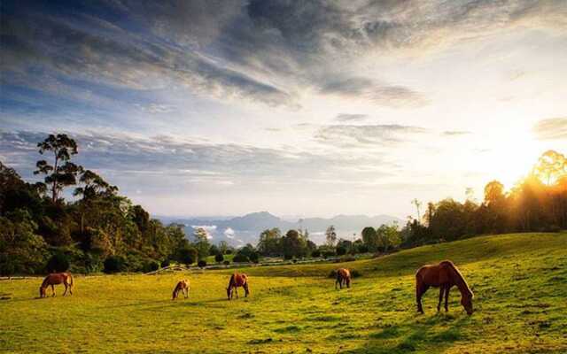 Borneo Highlands Resort