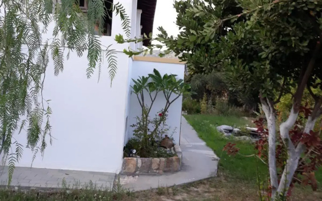 Level Houses