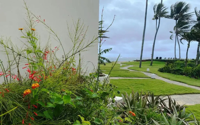 Cabarete Beachfront Condos at Nanny Estate C-5
