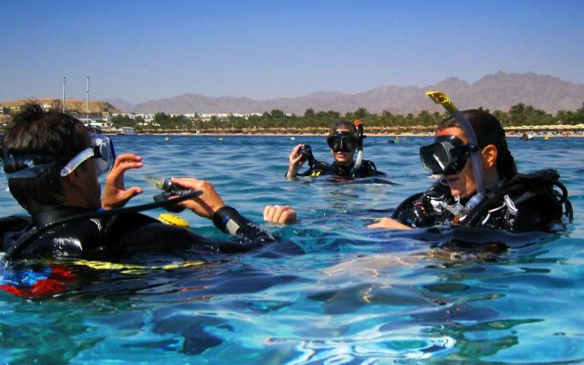 Oonas Dive Club