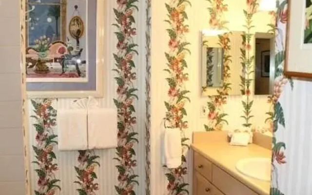 Tropical Dreaming (Home)