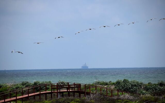 Beach View Condo by RedAwning