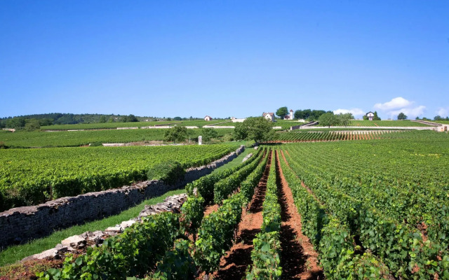 Vinihôtel