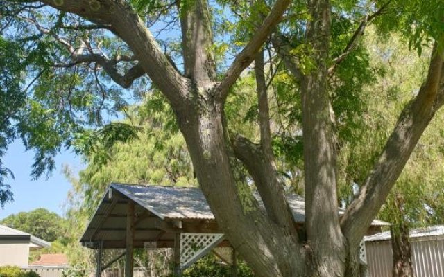 Busselton Jetty Chalets