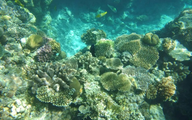 オーシャンリゾート真栄田岬