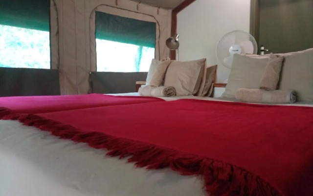 Zambezi Mubala Camp