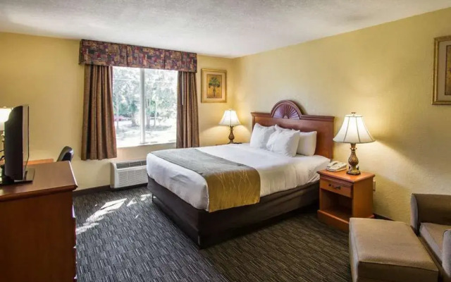 Comfort Inn & Suites