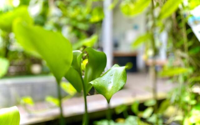 The Hide Hostel at Canggu - Adults Only