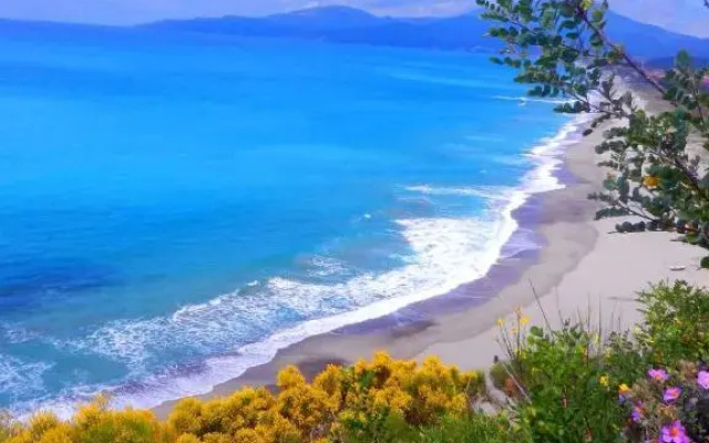 Apartment in Ascea - Cilento 38222