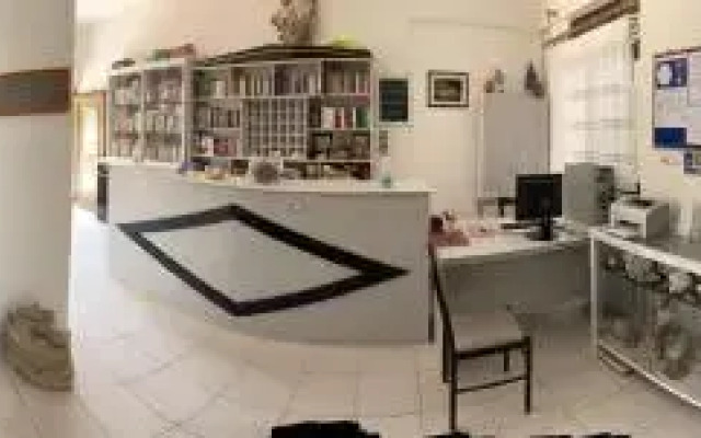 Alexander Beach Hotel