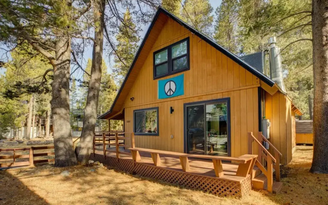 Oasis in the Pines