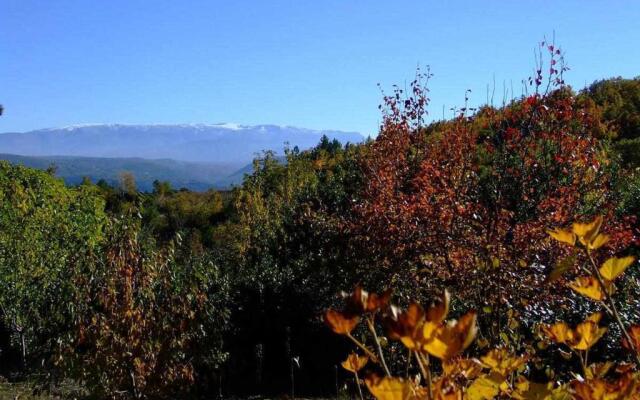 Casas rurales Caño Chico y La Fuente