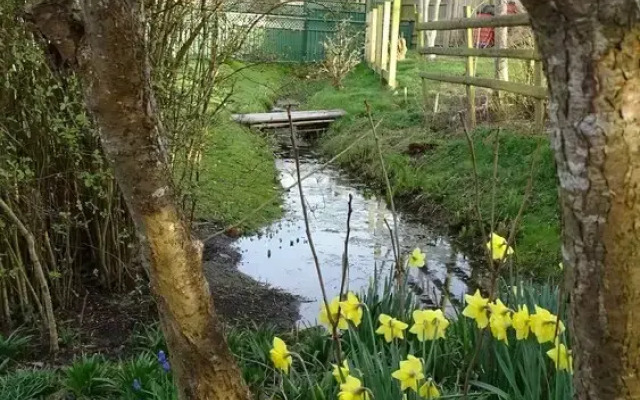 The Dairy at High House
