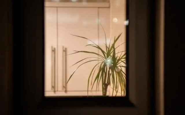 The Windmill in Dublin