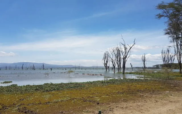 Petluck Resort Naivasha