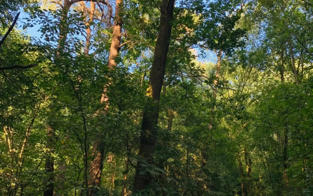 De Spitse Egel: ontdek de pareltjes in de natuur!