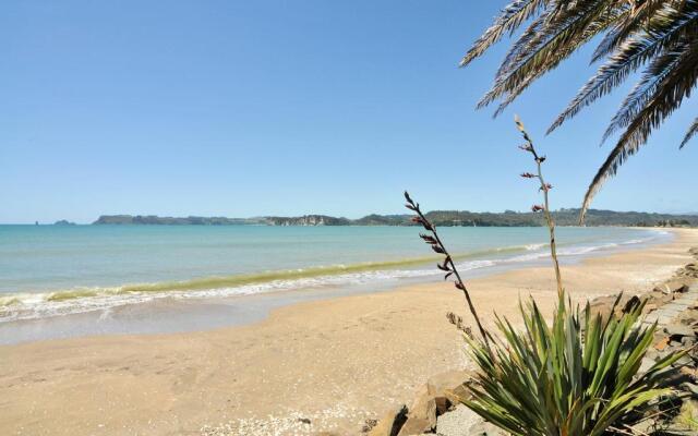 Whitianga Campground