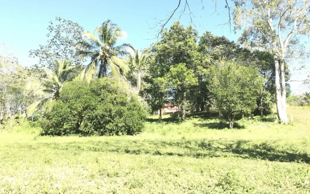 Mango Walk Inn