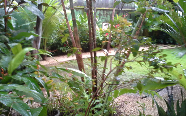 Ecopousada Miriti