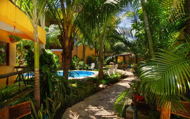Hotel Bosque Caribe , 5th Av Zone