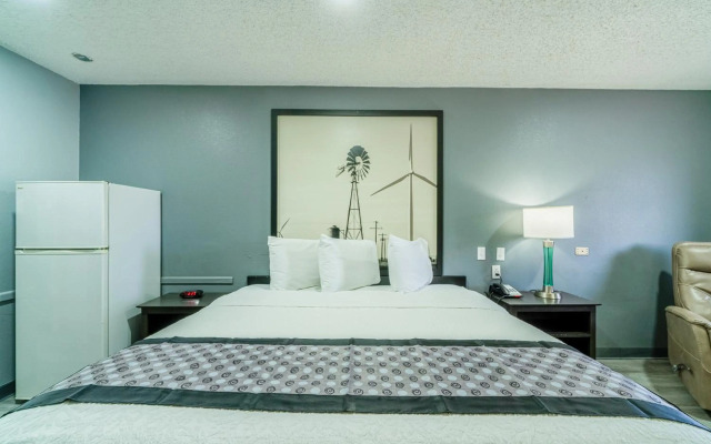 Purple Sage By OYO Snyder TX