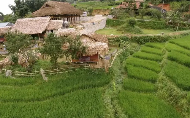 Golden Rice Garden Sapa