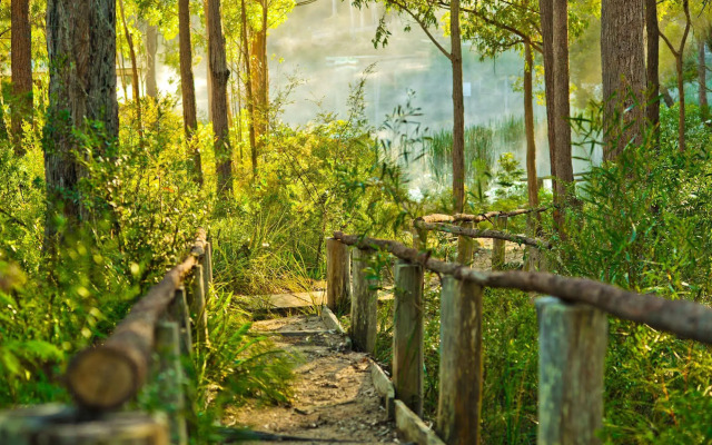 Kianinny Bush Cottages