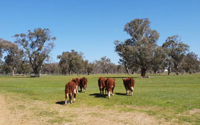 Big Tiny Jindera Park