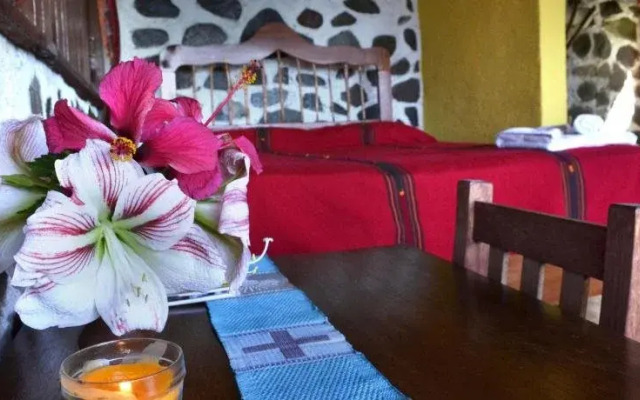 Hotel Arca de Noe