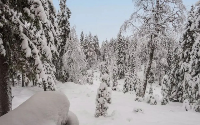 Ruka-rokova 2