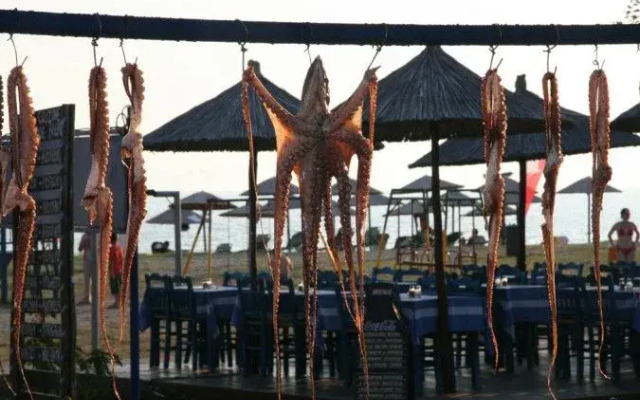 Villa Maria Studios & Suites