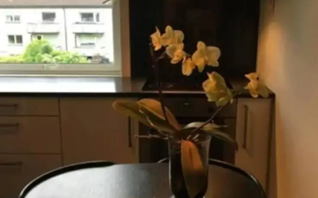 Sentrumsnær Leilighet