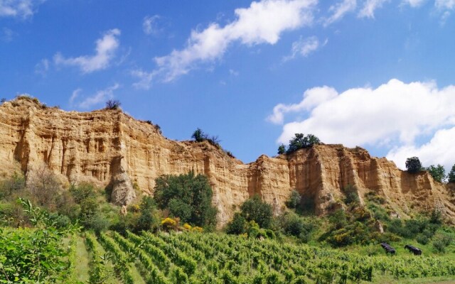 Palagio 16 in Chianti With Shared Pool
