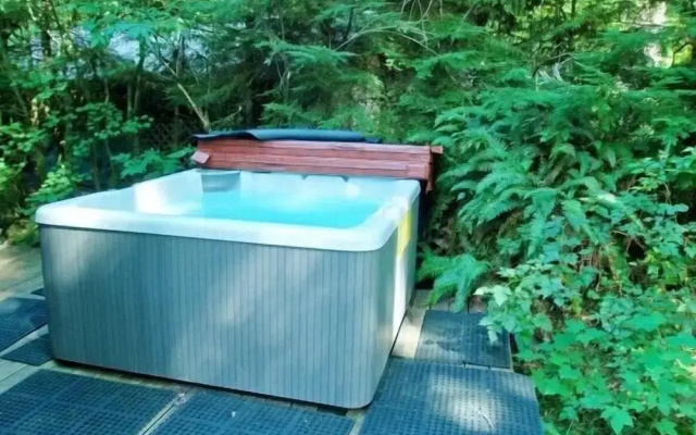 Mt Baker Lodging Cabin 19 Sleeps 10